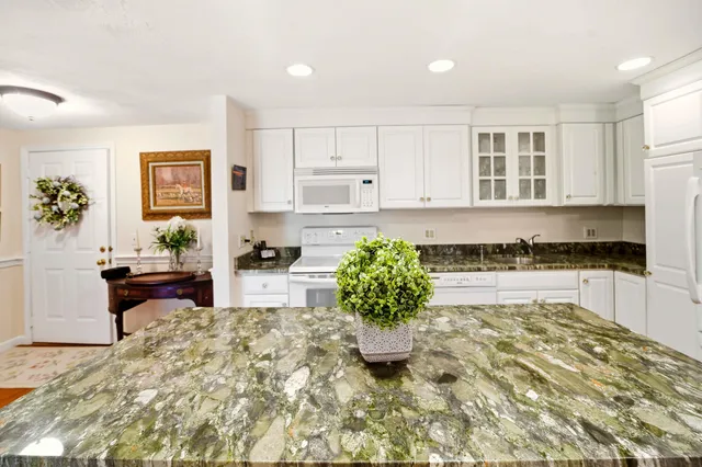 a living room with a couch and a potted plant