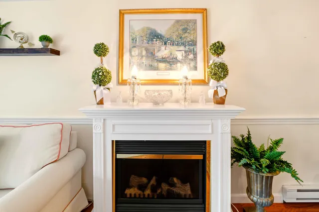 a living room with a fireplace and a potted plant
