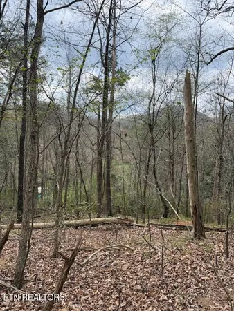 $33,900 | 151 Hennessey Mountain, Cosby, TN 37722