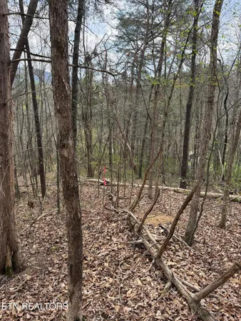 $33,900 | 151 Hennessey Mountain, Cosby, TN 37722