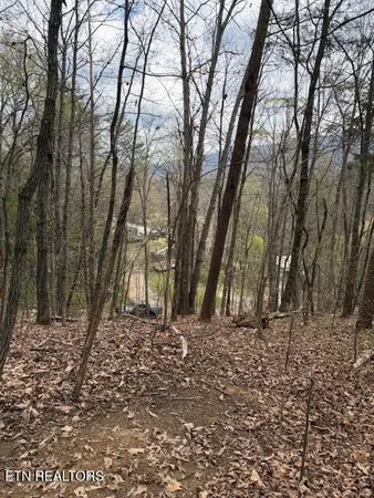 $33,900 | 151 Hennessey Mountain, Cosby, TN 37722