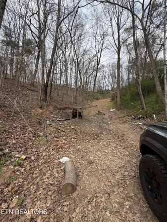 $33,900 | 151 Hennessey Mountain, Cosby, TN 37722