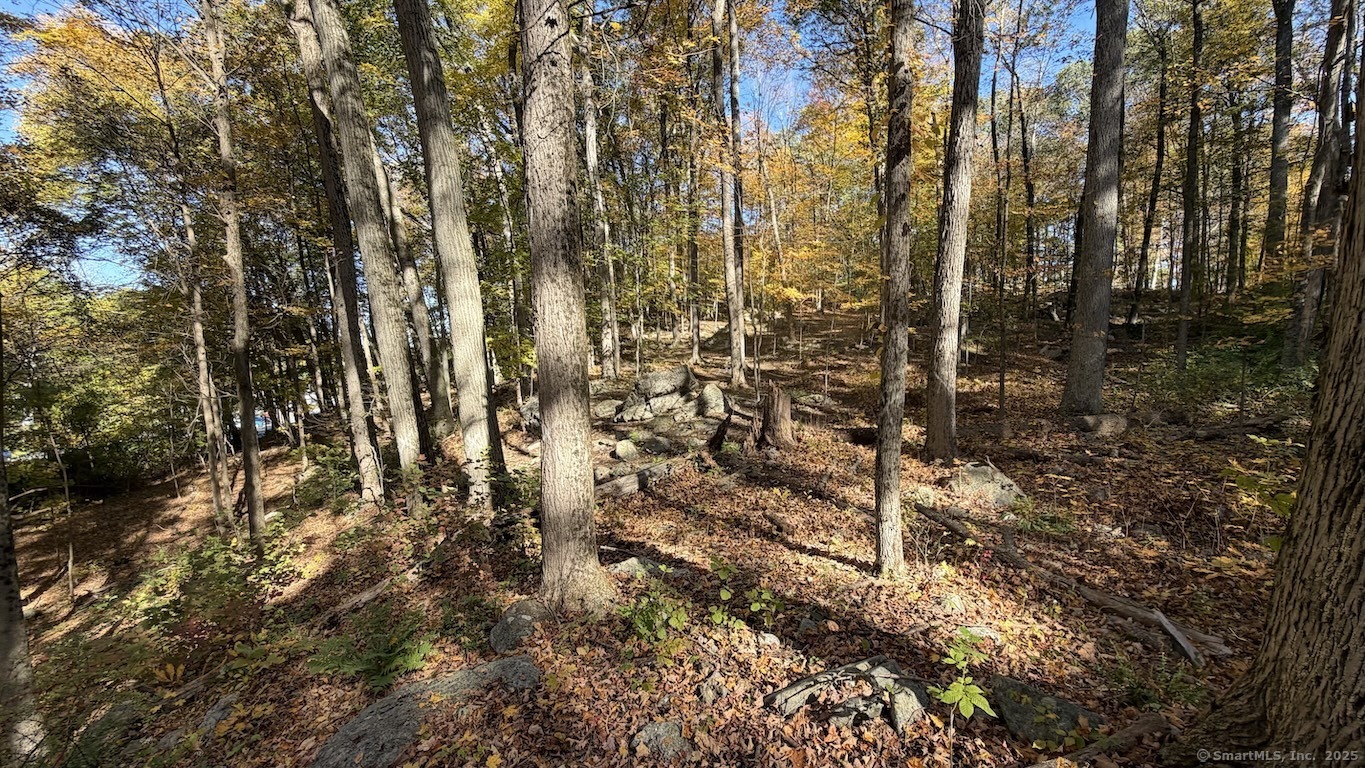 Main Street Trumbull, CT 06611 - Photo 2 of 4 a view of a yard