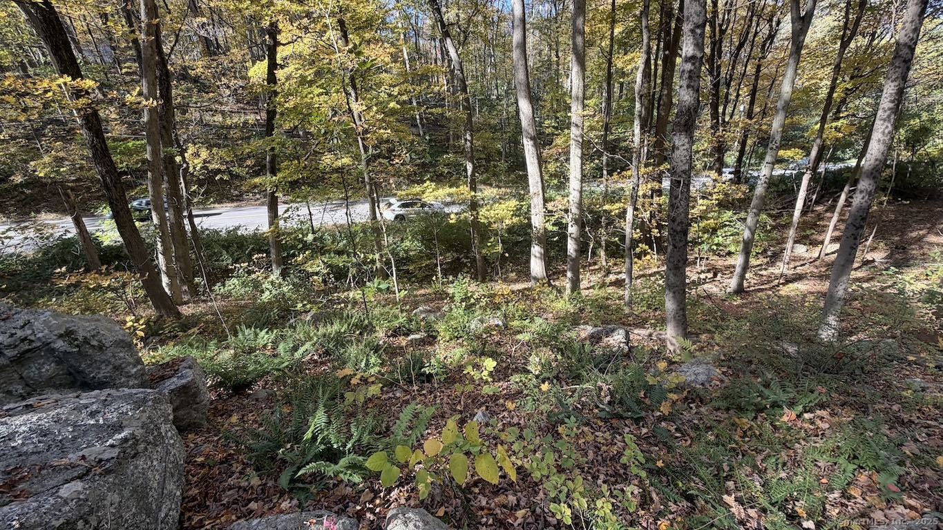 Main Street Trumbull, CT 06611 - Photo 3 of 4 a view of forest