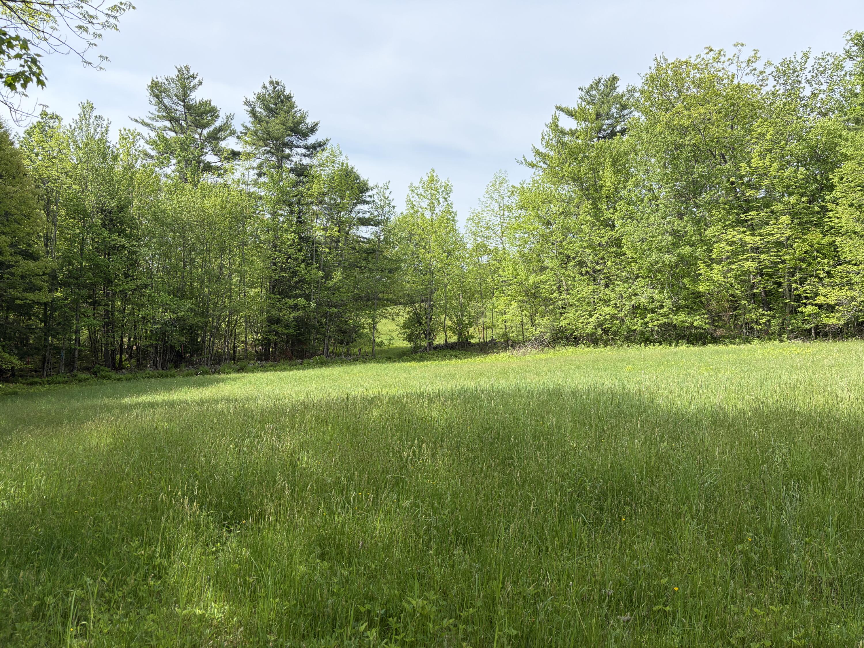 Lot 1 Waldoboro Road Washington, ME 04574 - Photo 17 of 39