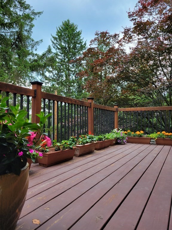 39 Starr Hill Road Littleton, MA 01460 - Photo 4 of 40 Gallery Image 4