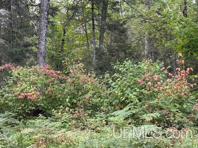 T-wi Loon Lake Road Florence, WI 54121 - Photo 25 of 27 Gallery Image 25