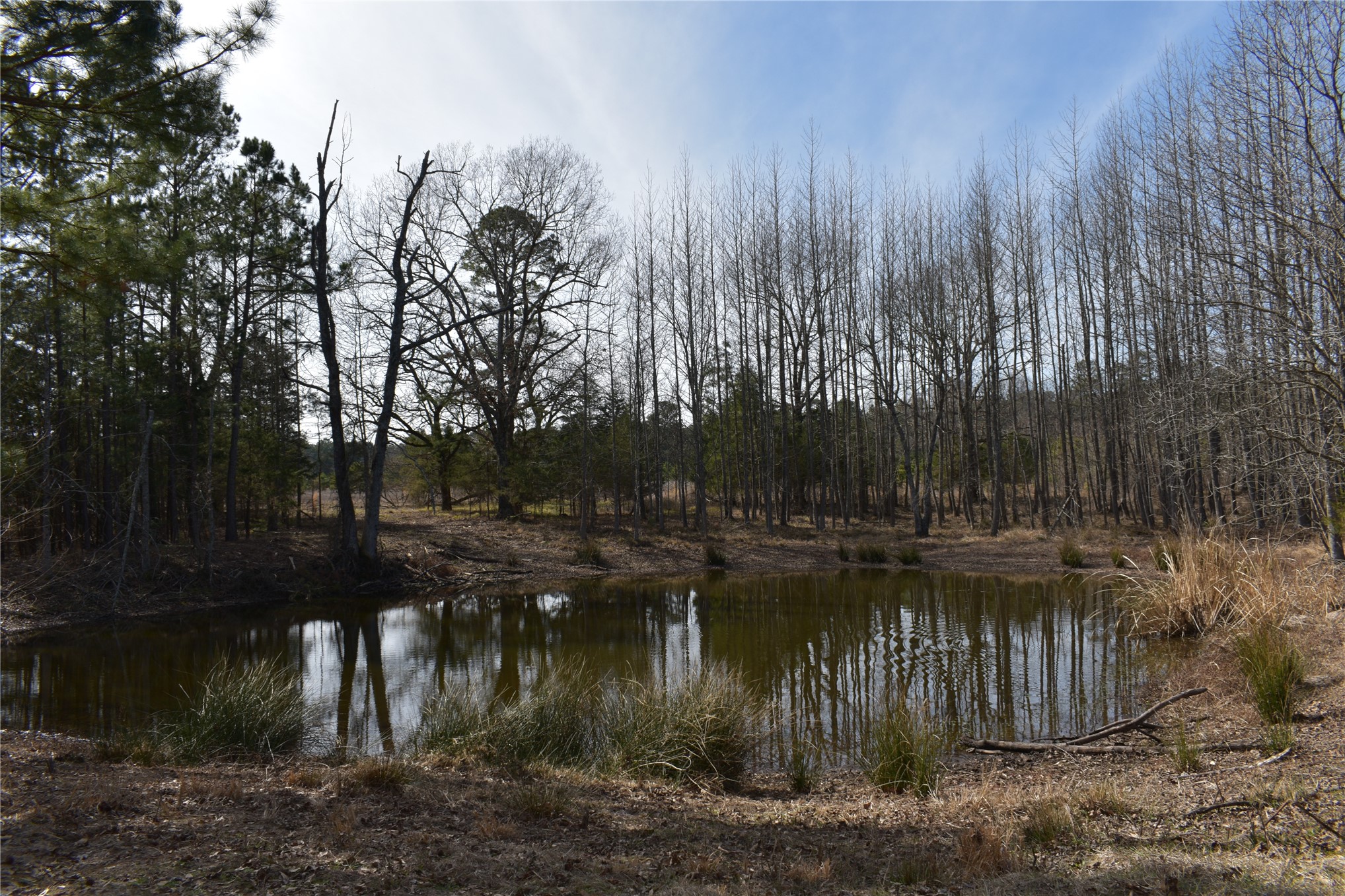 532 North 4360 Road Fort Towson, OK 74735 - Photo 14 of 18 Gallery Image 14