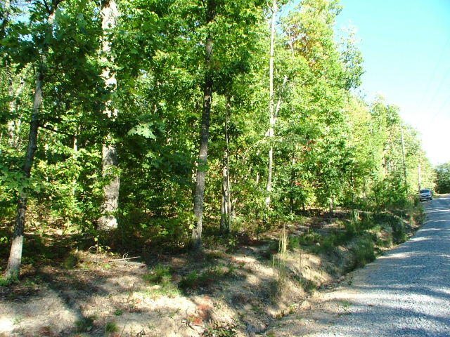 51 Challenger Way Rising Fawn, GA 30738 - Photo 10 of 15 DSCF1252