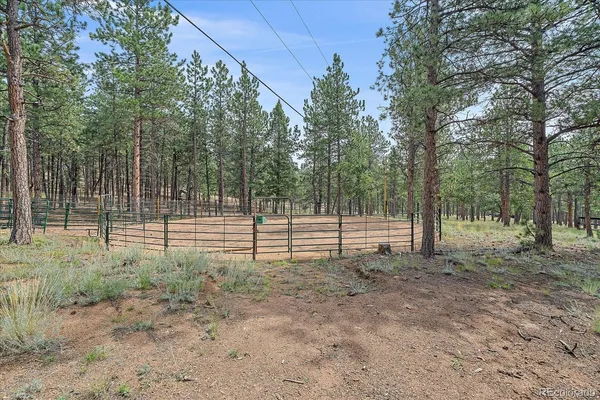 $769,000 | 104 Six Bits Street, Bailey, CO 80421