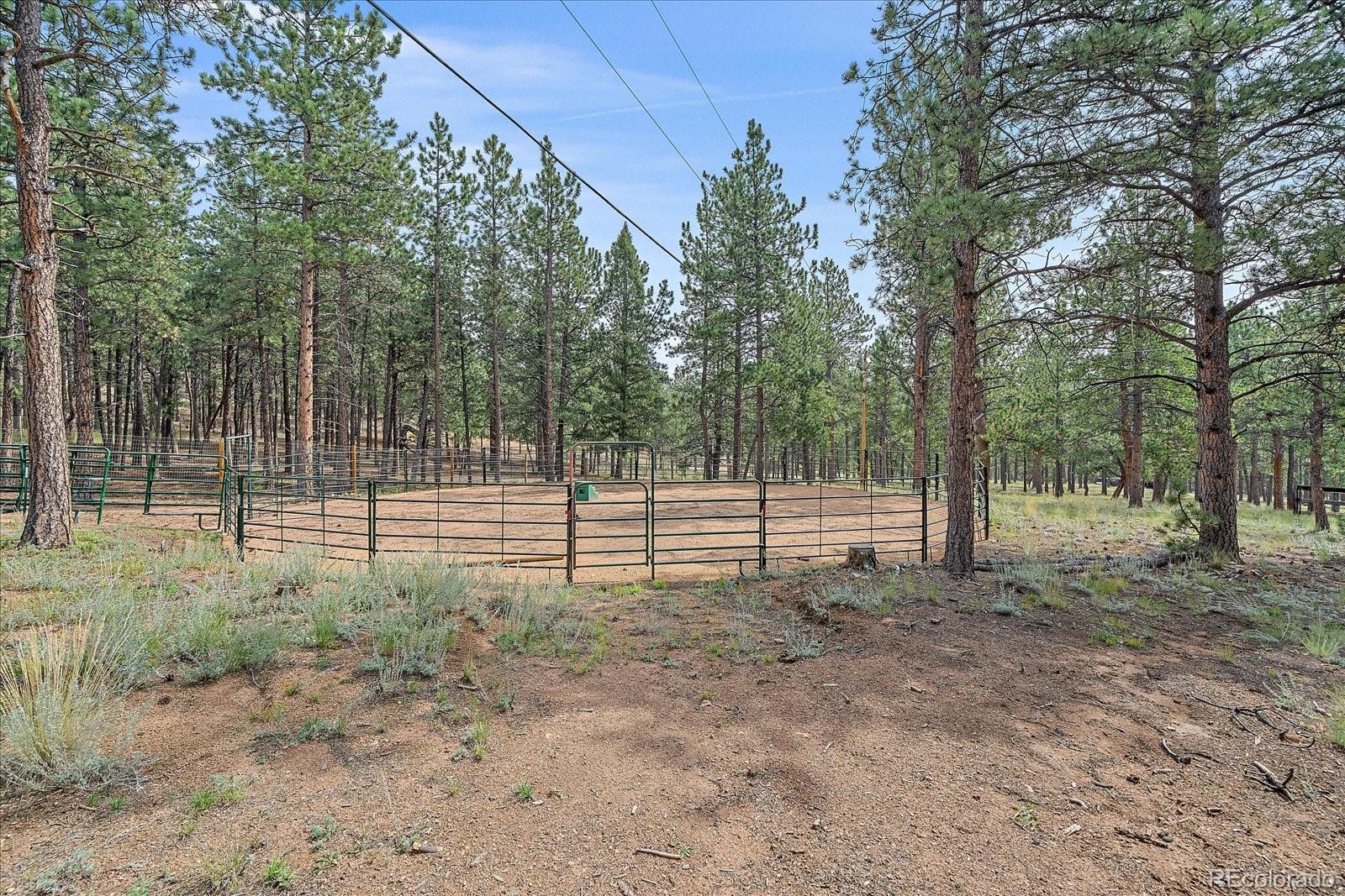104 Six Bits Street Bailey, CO 80421 - Photo 35 of 46 a view of a backyard with trees