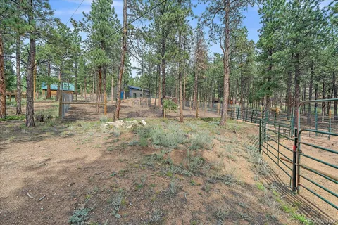a view of backyard with tree
