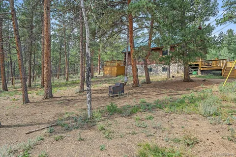 a view of a yard with a tree