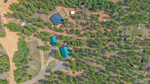 an aerial view of a house with a yard and covered with trees