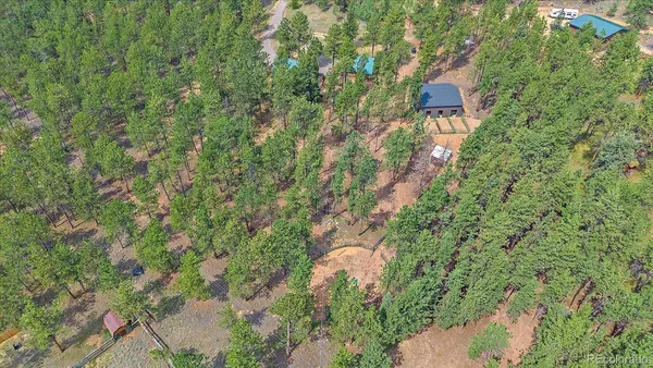 $769,000 | 104 Six Bits Street, Bailey, CO 80421