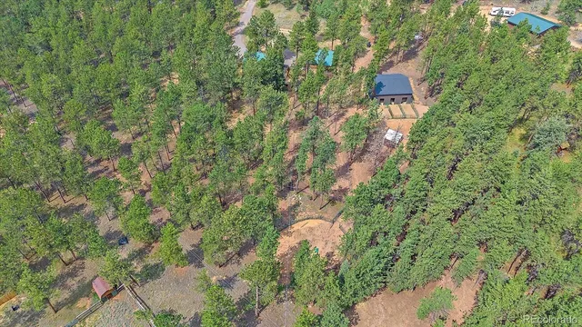 a view of a house with a lush green forest