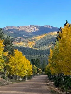 $729,000 | 104 Six Bits Street, Bailey, CO 80421