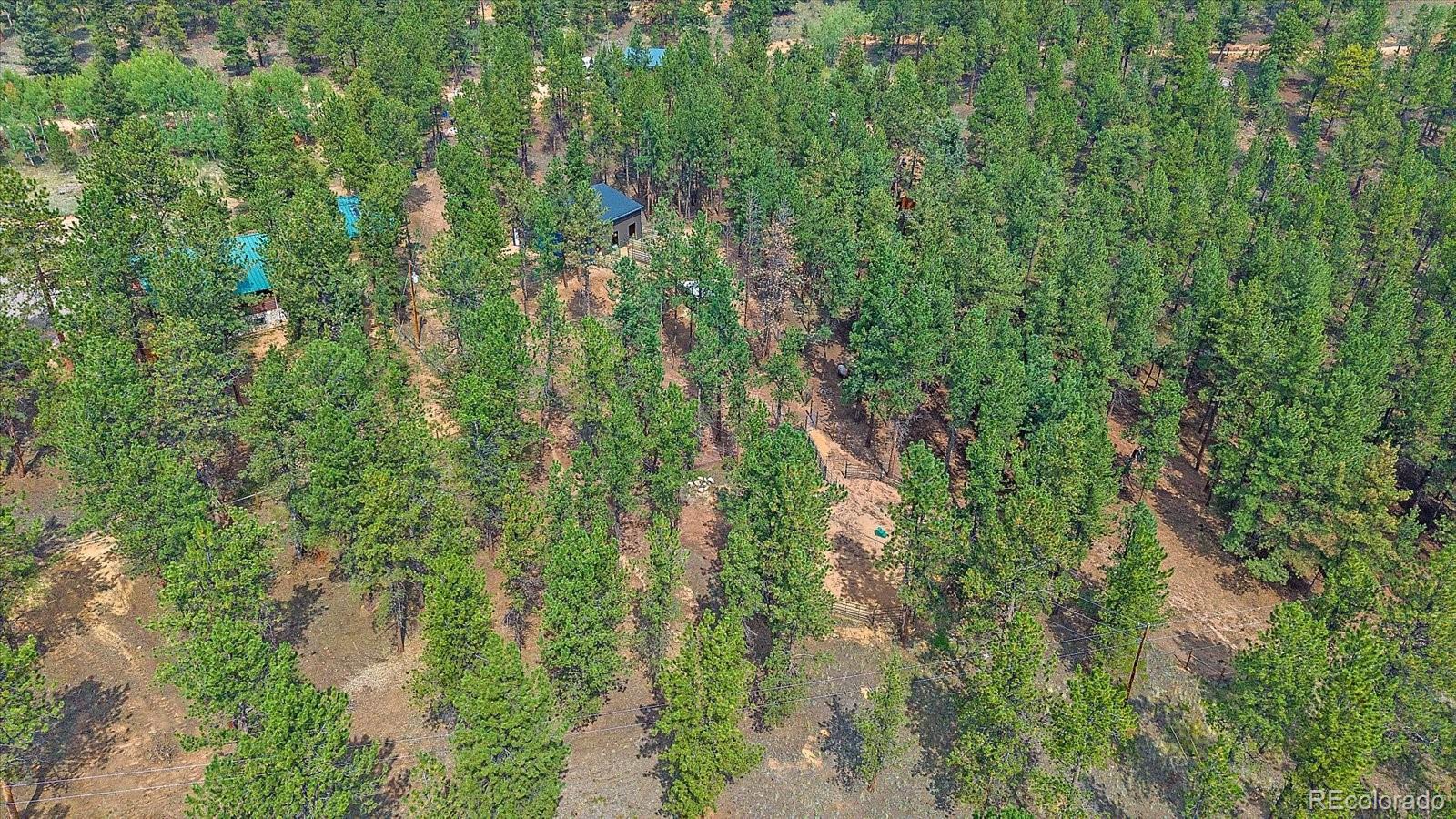 104 Six Bits Street Bailey, CO 80421 - Photo 42 of 46 a view of a forest