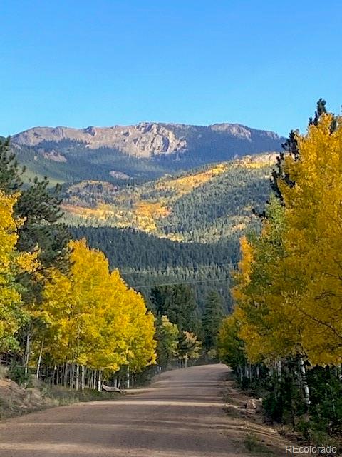 104 Six Bits Street Bailey, CO 80421 - Photo 45 of 46 a view of a city