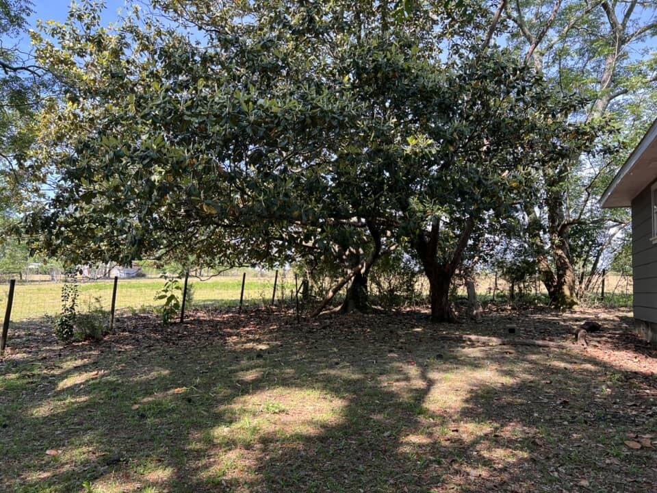 621 Davidson Road DeFuniak Springs, FL 32433 - Photo 3 of 16 438222625_7873706165985497_1666417323350