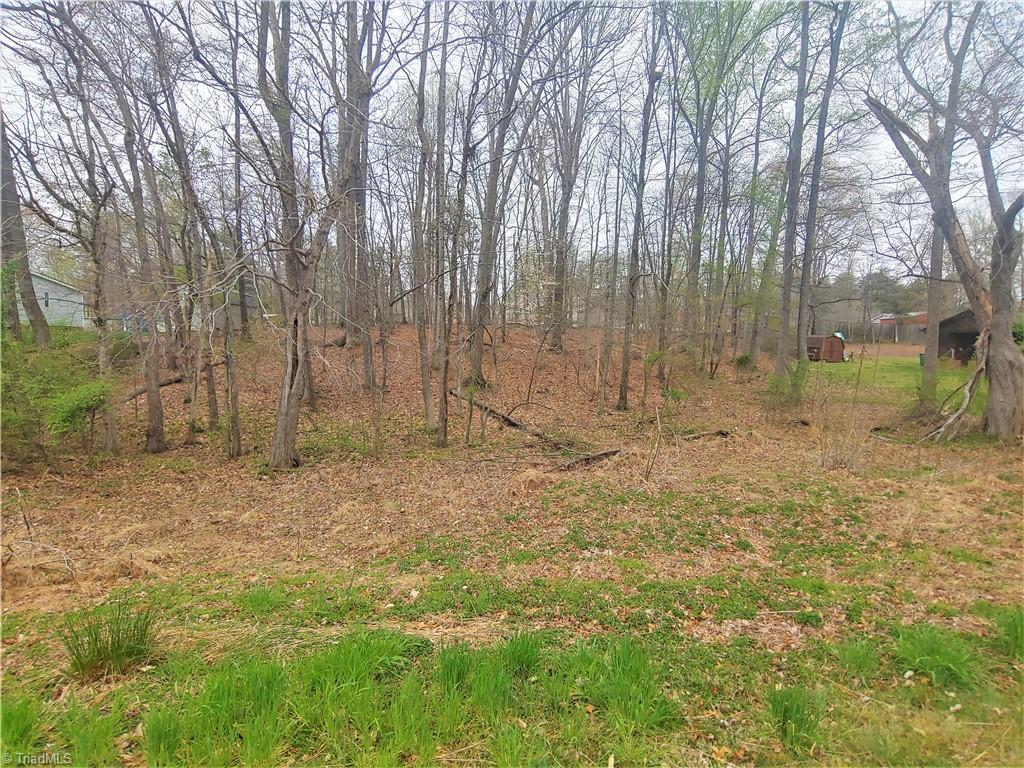 170 Kelly Road Reidsville, NC 27320 - Photo 1 of 5 Gallery Image 1