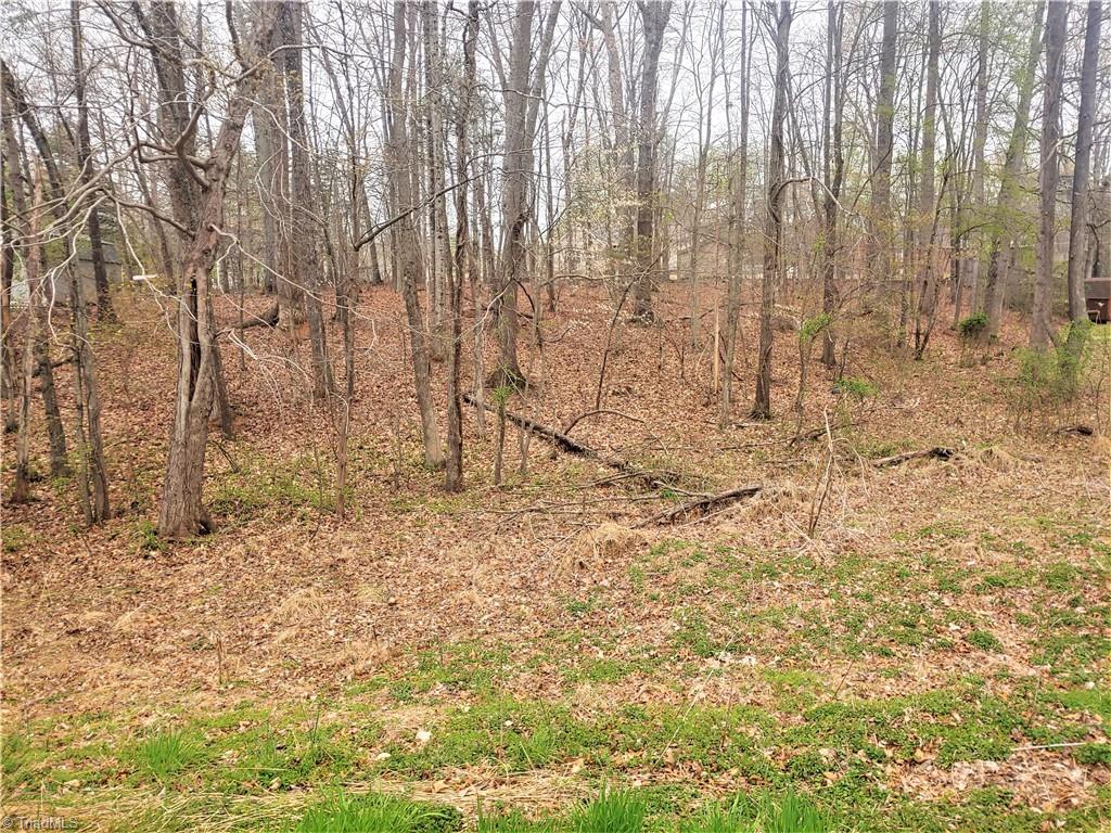170 Kelly Road Reidsville, NC 27320 - Photo 3 of 5 Gallery Image 3