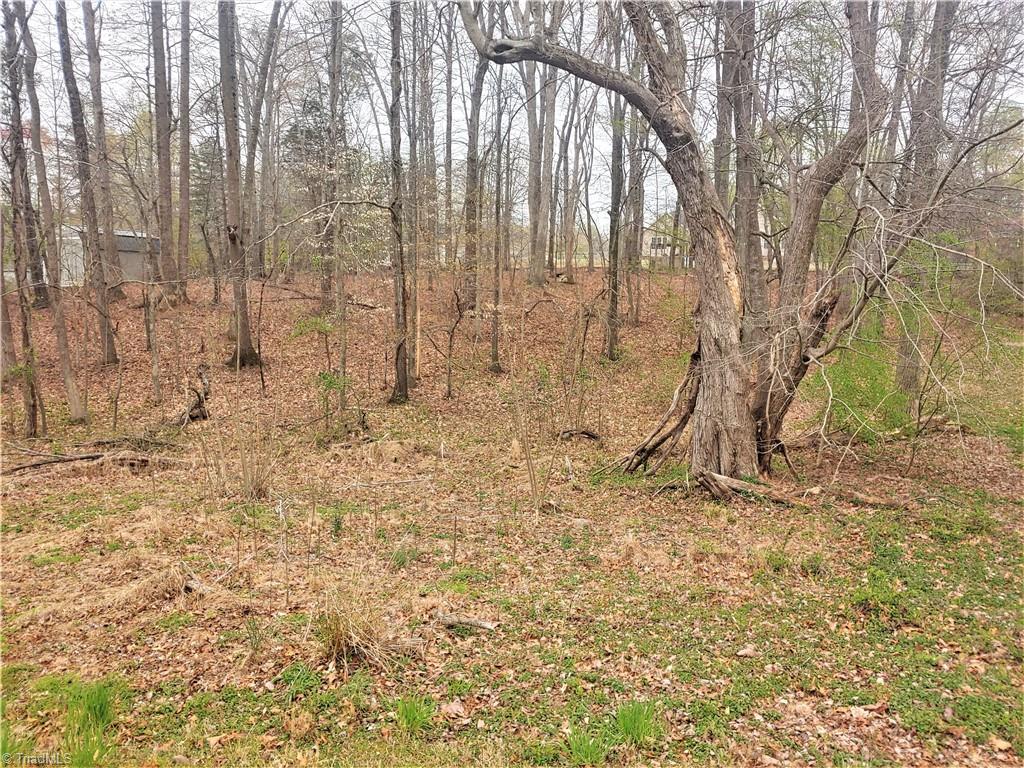 170 Kelly Road Reidsville, NC 27320 - Photo 4 of 5 Gallery Image 4