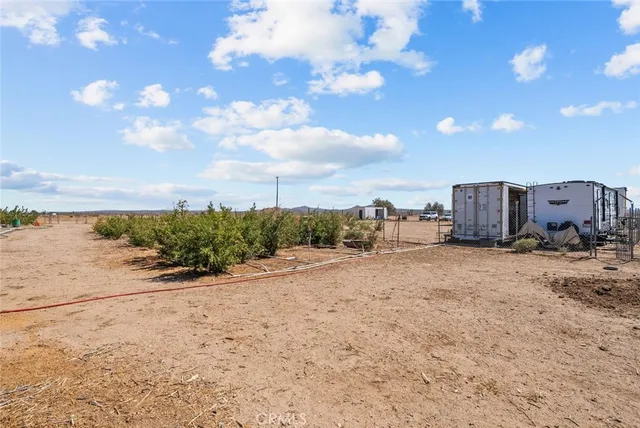 a view of a dry yard with wooden fence
