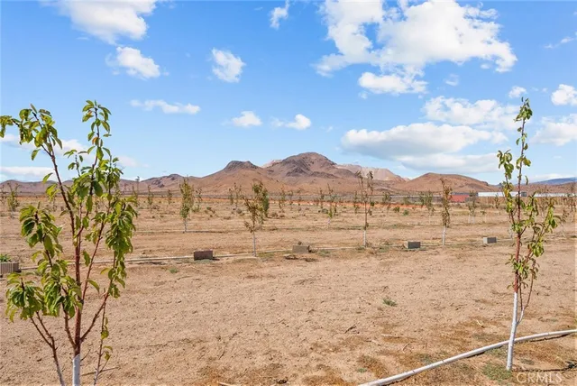 a view of an outdoor space and a yard