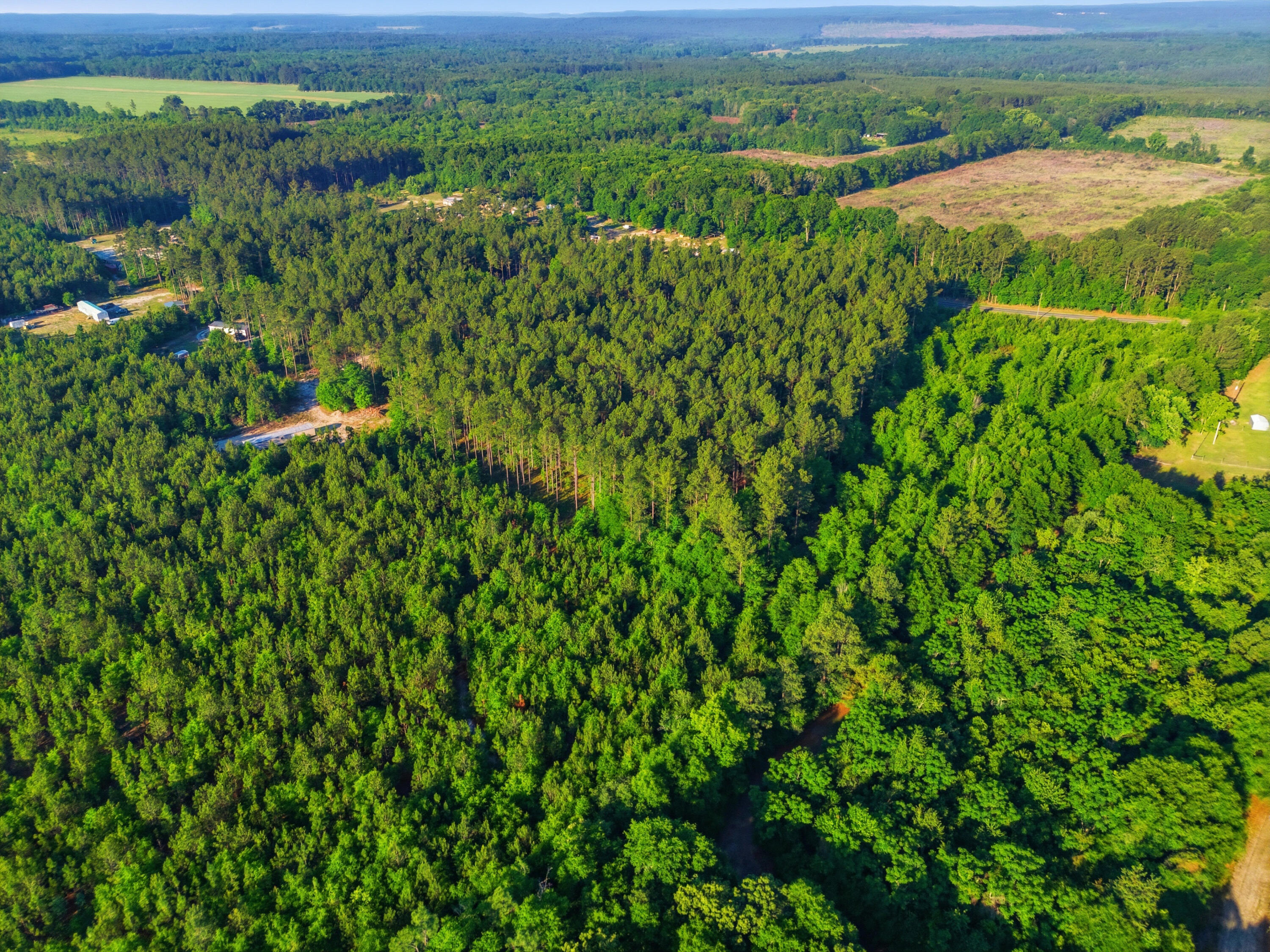 15-acres South Dixie Road Wagener, SC 29164 - Photo 8 of 8
