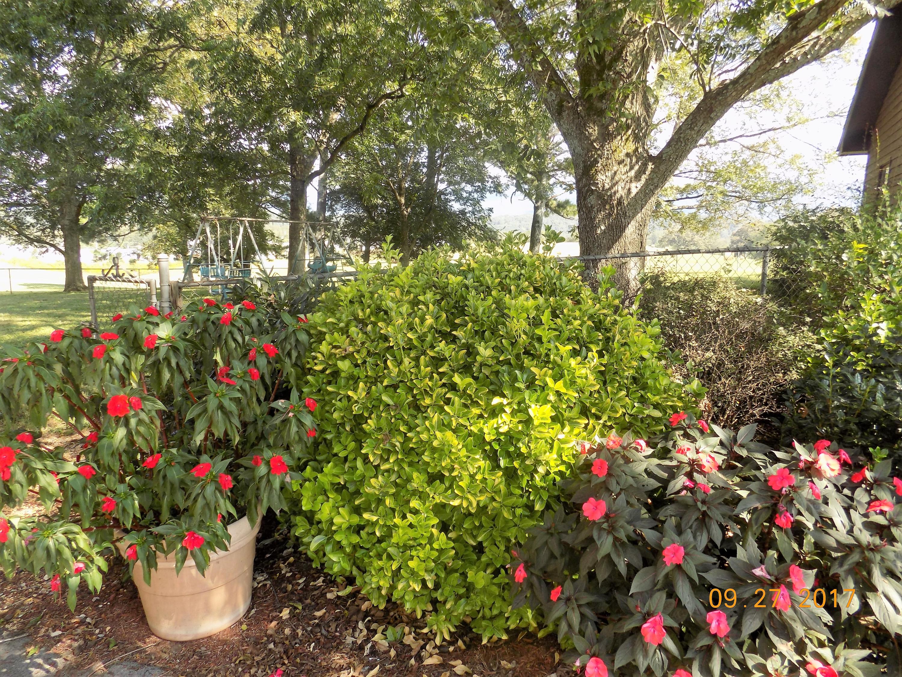 247 Old Mill Road Whitwell, TN 37397 - Photo 7 of 41 out1