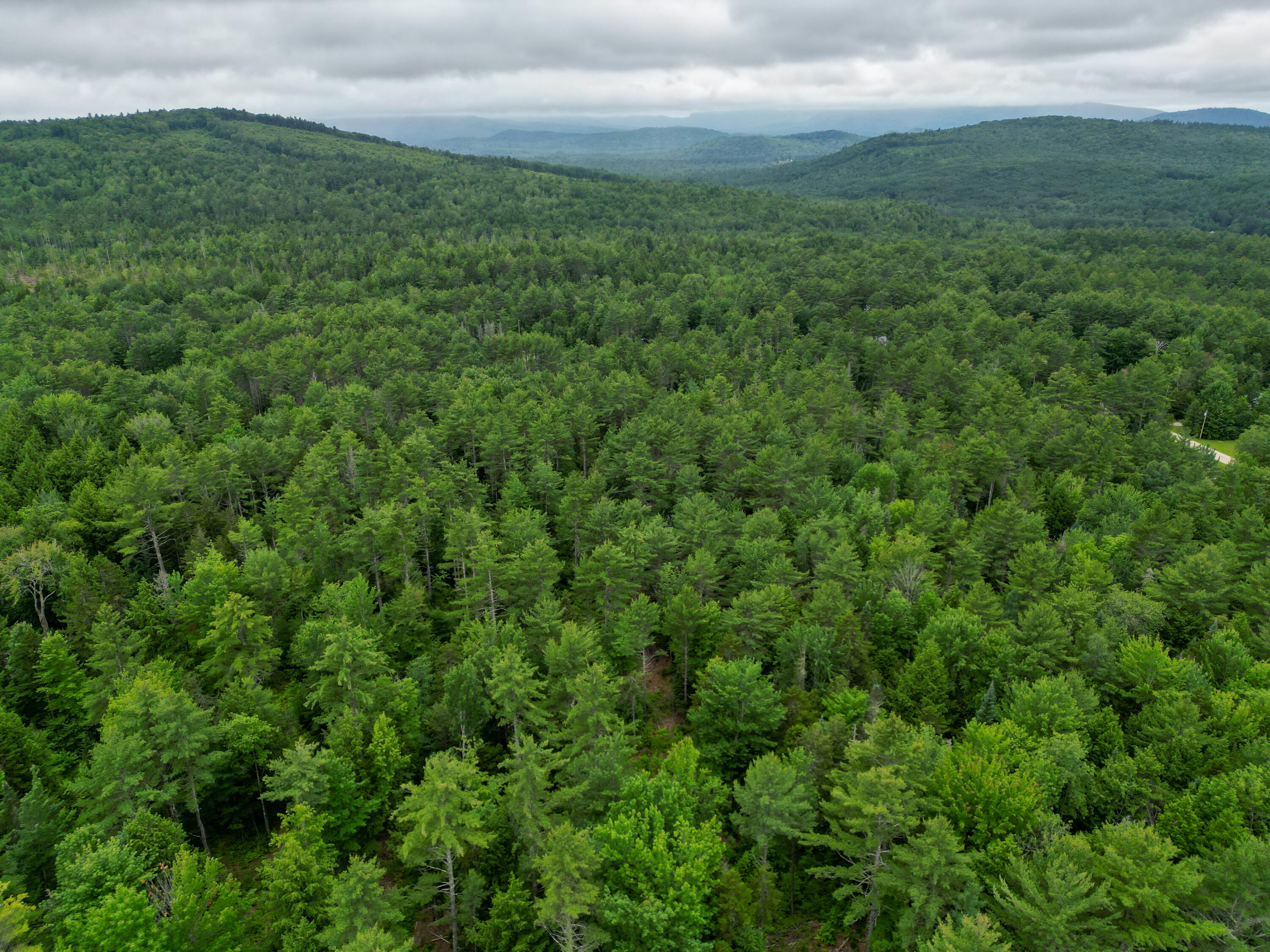 Lot 30 Irish Neighborhood Road Bethel, ME 04217 - Photo 14 of 24 DJI_0619