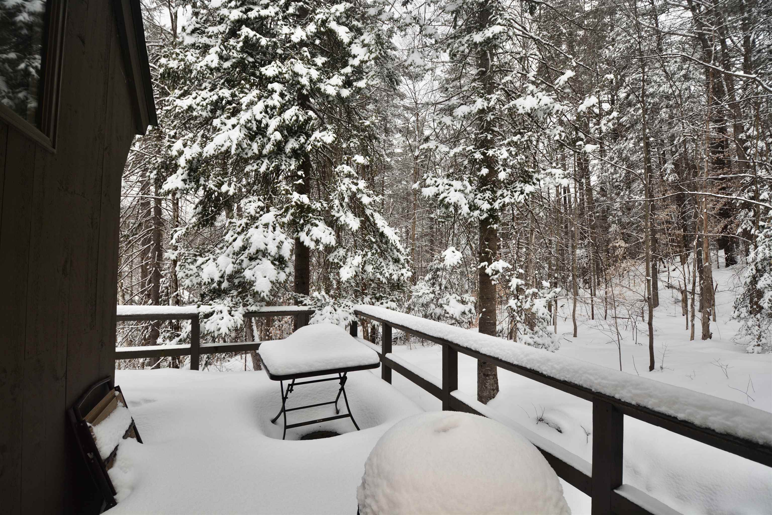 650 Marmot Lane Grantham, NH 03753 - Photo 5 of 22