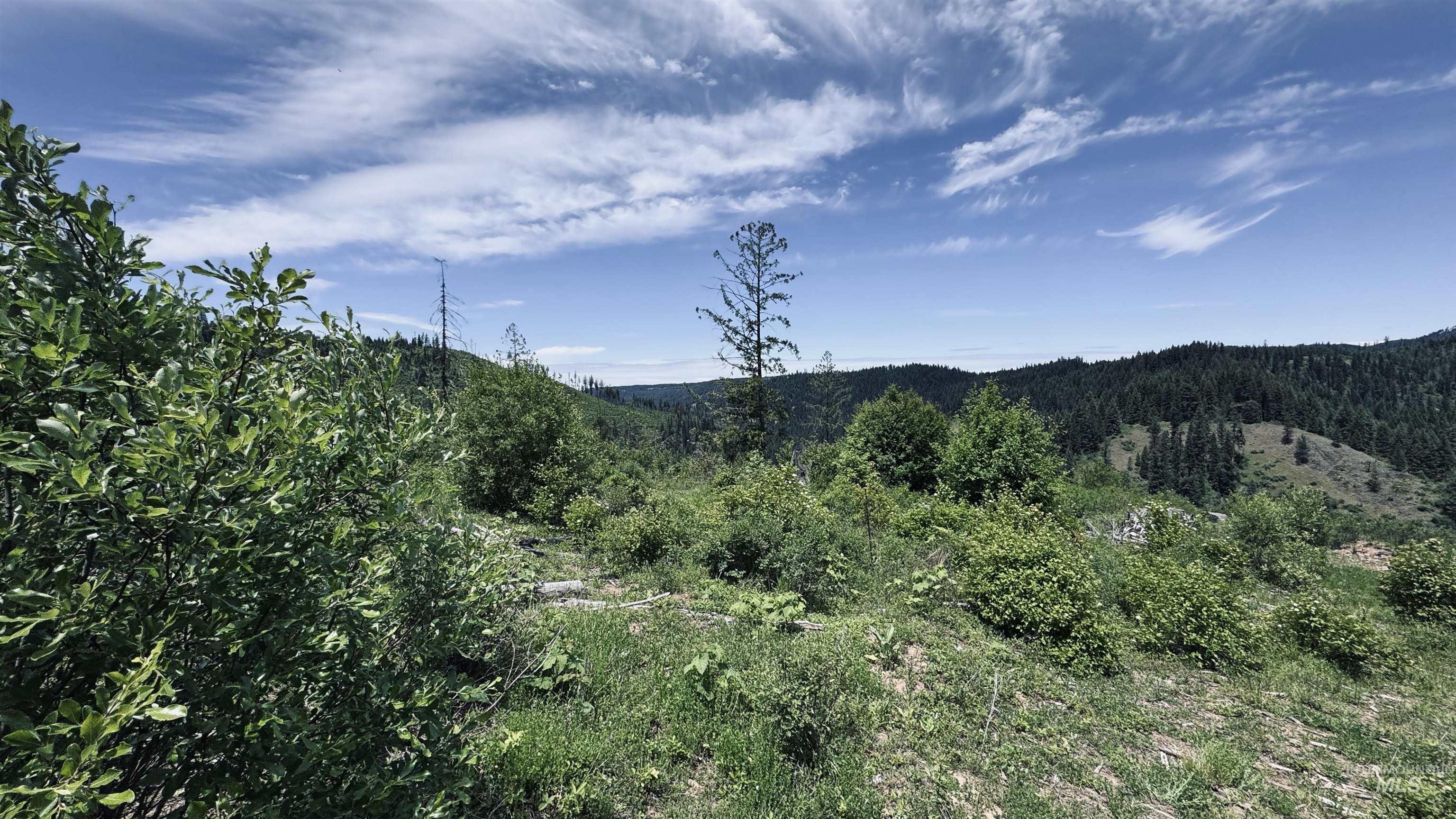 Tbd Glenwood Road Kamiah, ID 83536 - Photo 14 of 50