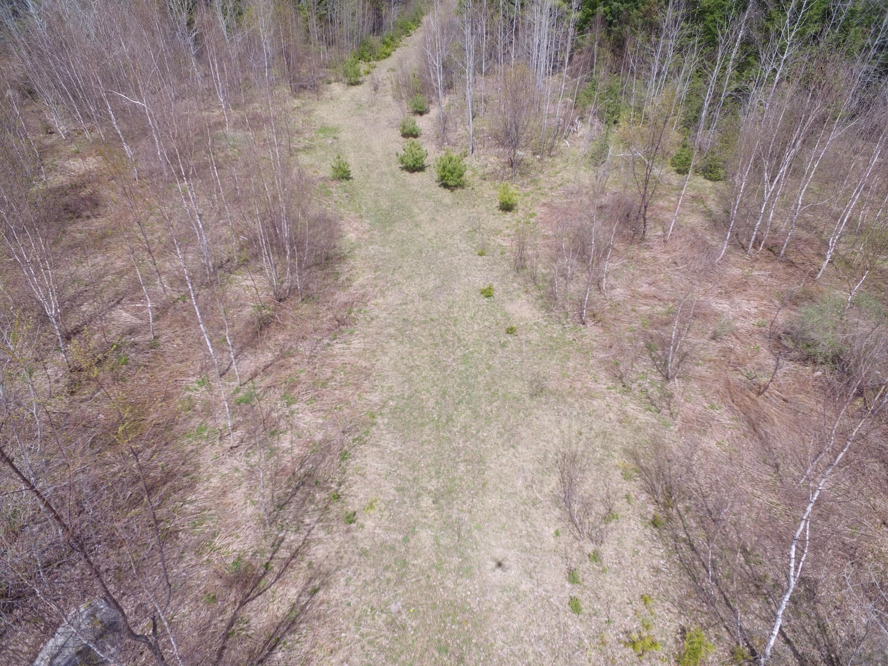 Lot 12 Off Lee Road Springfield, ME 04487 - Photo 16 of 23 DJI_0248