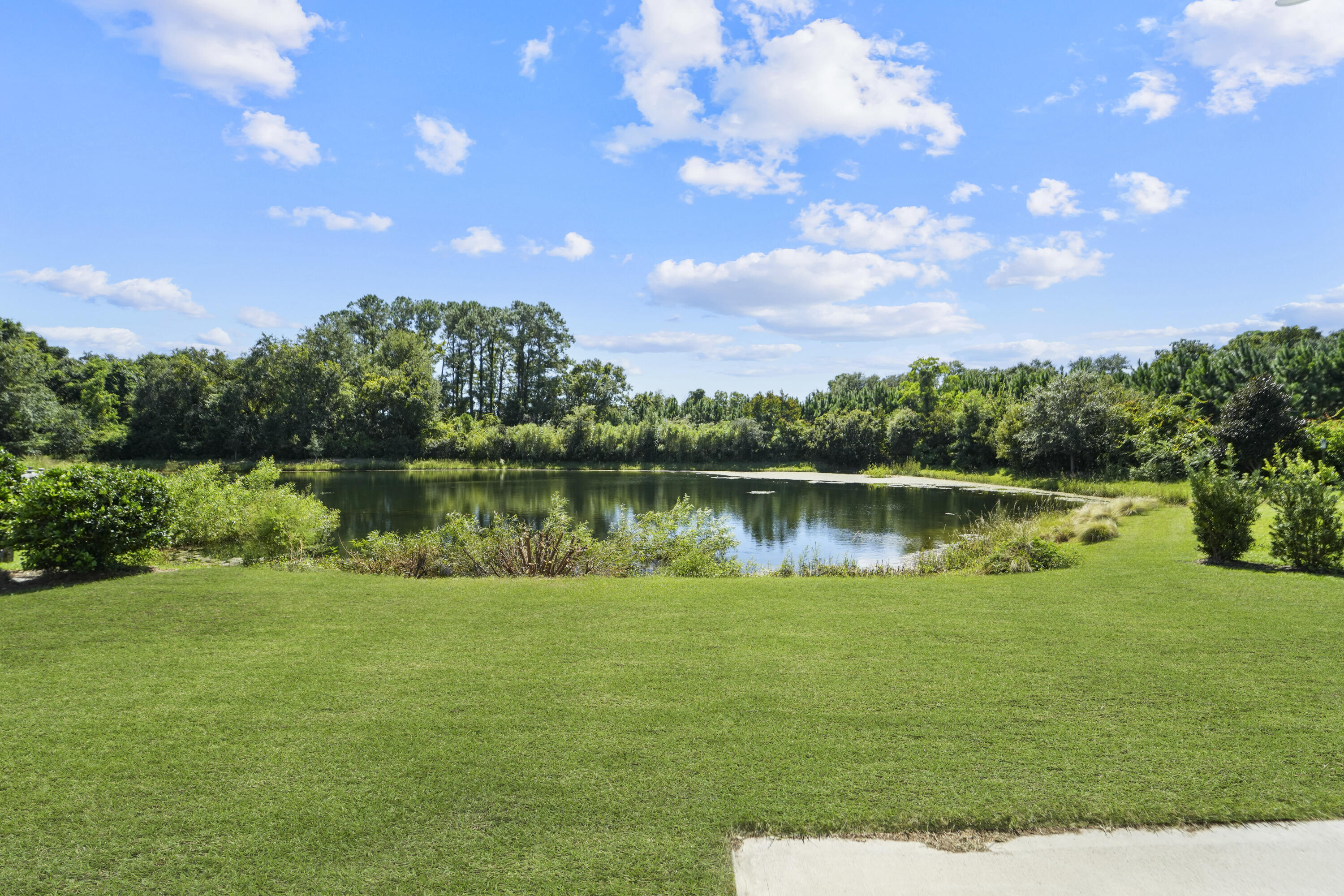 1427 Rivers Cotton Road Charleston, SC 29412 - Photo 47 of 50 pond view