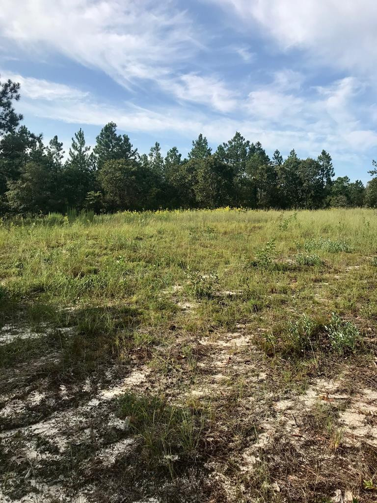 Lot#13-19 Holder Road Batesburg, SC 29006 - Photo 5 of 18