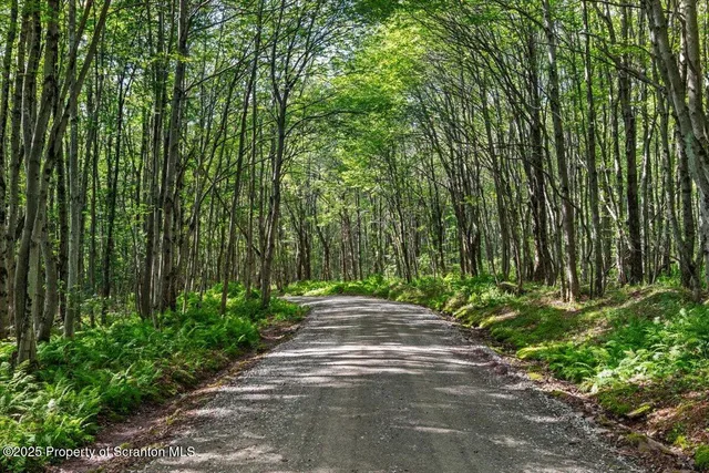 $1,250,000 | 65 Run A Muck Lane, Thompson, PA 18465