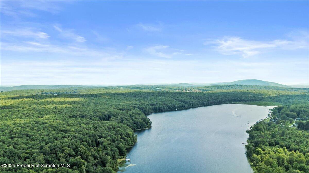 65 Run A Muck Lane Thompson, PA 18465 - Photo 48 of 53 Lake