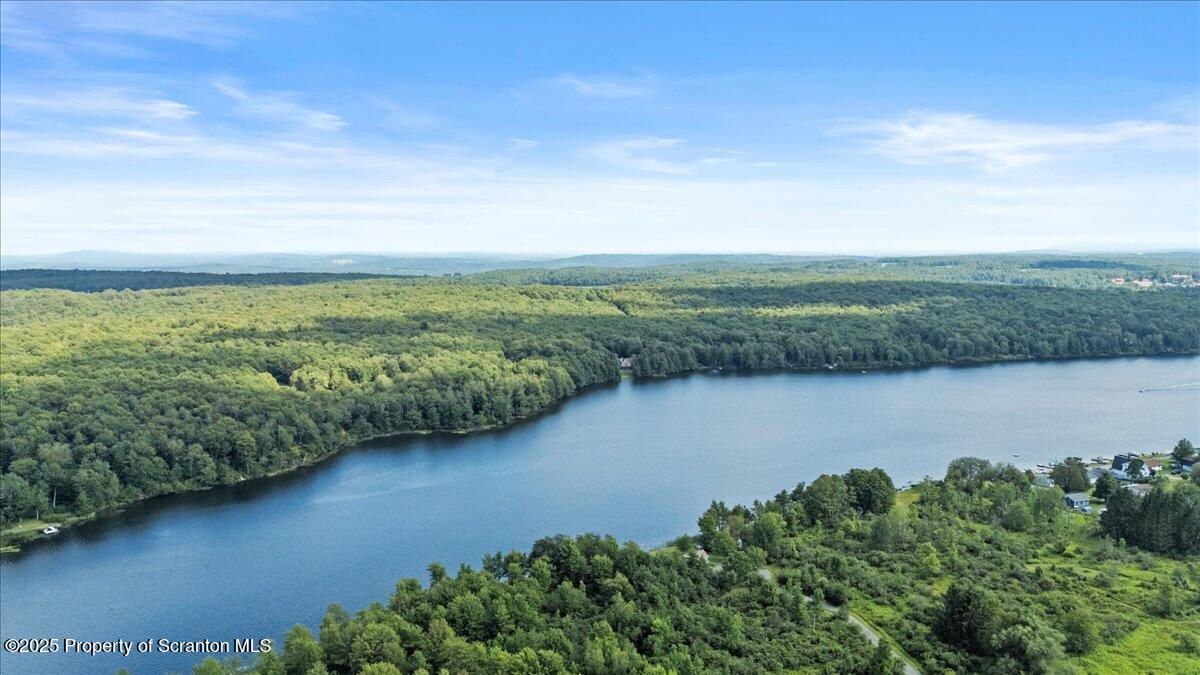 65 Run A Muck Lane Thompson, PA 18465 - Photo 6 of 53 Lake