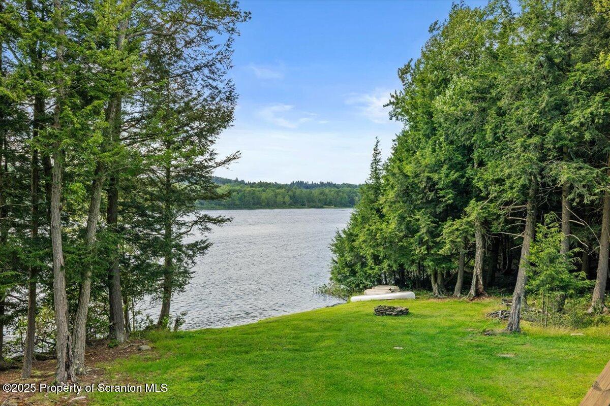 65 Run A Muck Lane Thompson, PA 18465 - Photo 9 of 53 Lake view