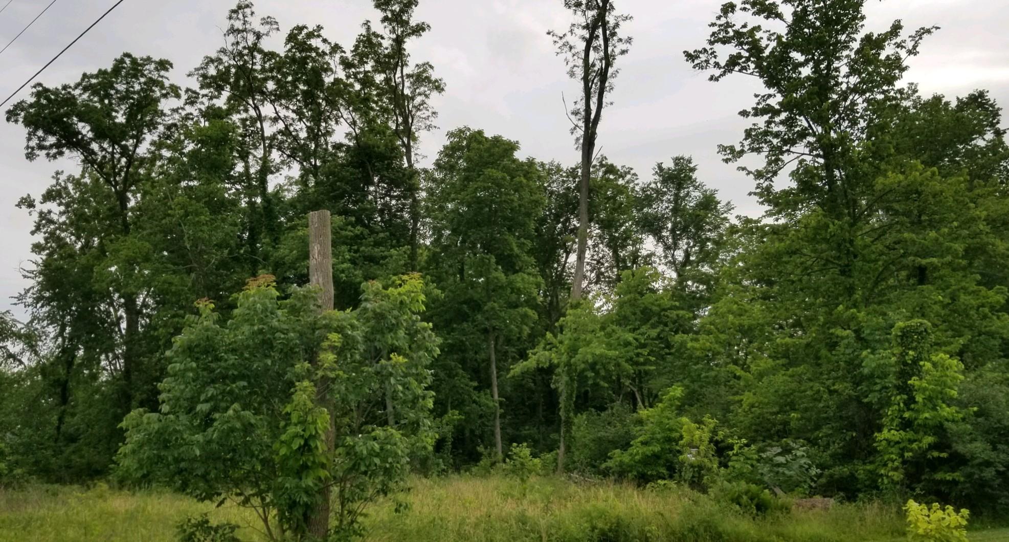 0 Willow Dale Road Springfield, OH 45502 - Photo 18 of 21