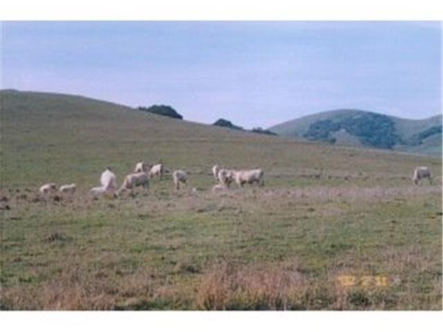 700 Rocks Road San Juan Bautista, CA 95045 - Photo 6 of 12 Gallery Image 6