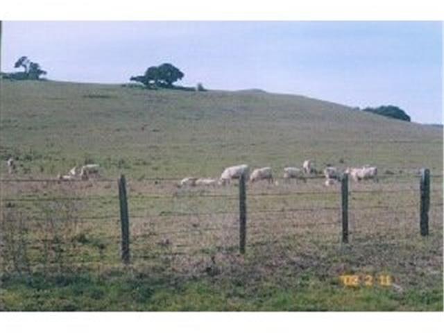 700 Rocks Road San Juan Bautista, CA 95045 - Photo 7 of 12 Gallery Image 7