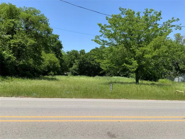 a view of a yard with a large tree