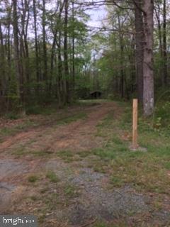 5764 Cornstack Road Marion Station, MD 21838 - Photo 6 of 7 a view of a yard
