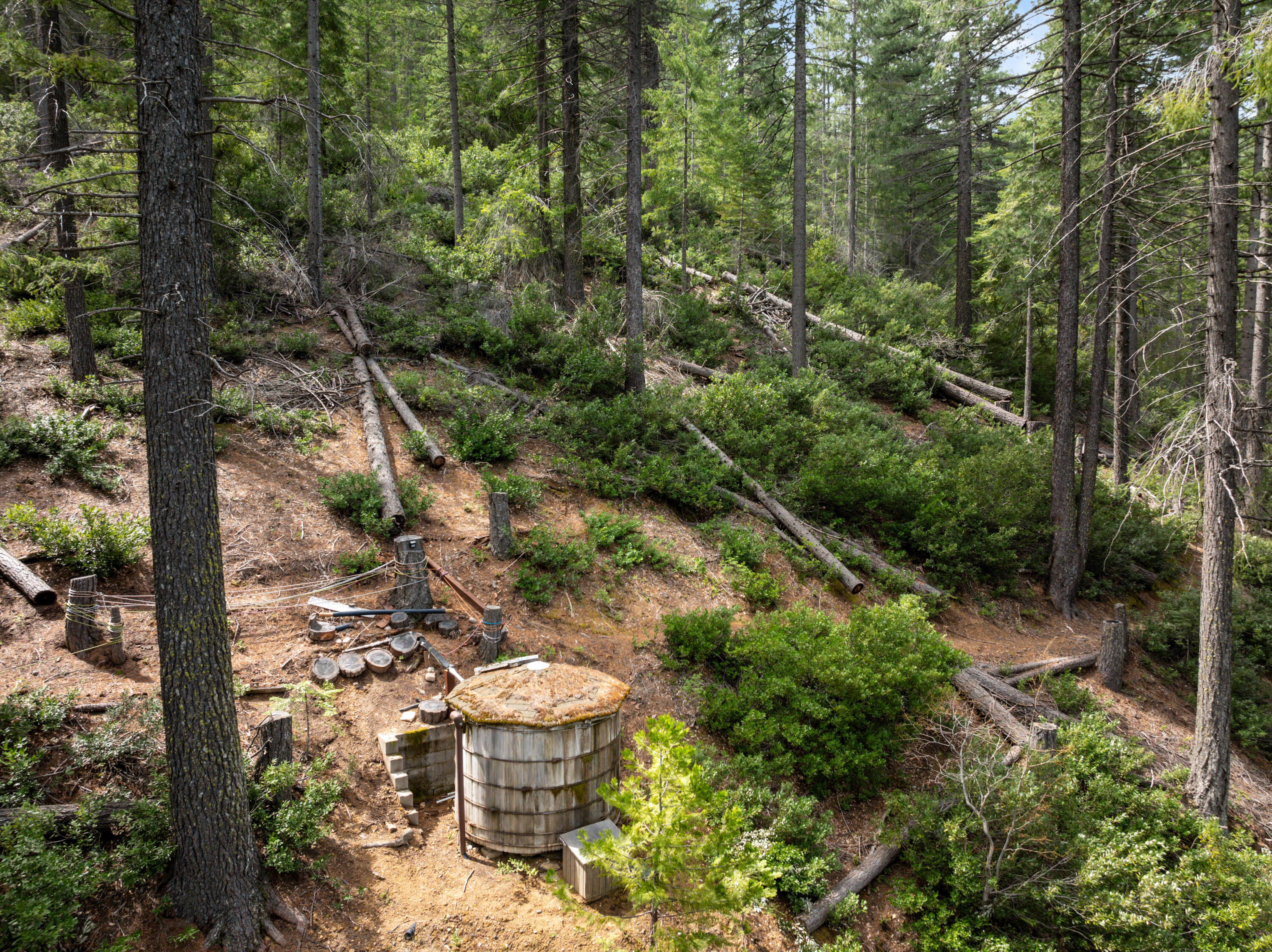 2120 Pack Trail Mount Shasta, CA 96067 - Photo 56 of 92 a aerial view of a house with a yard