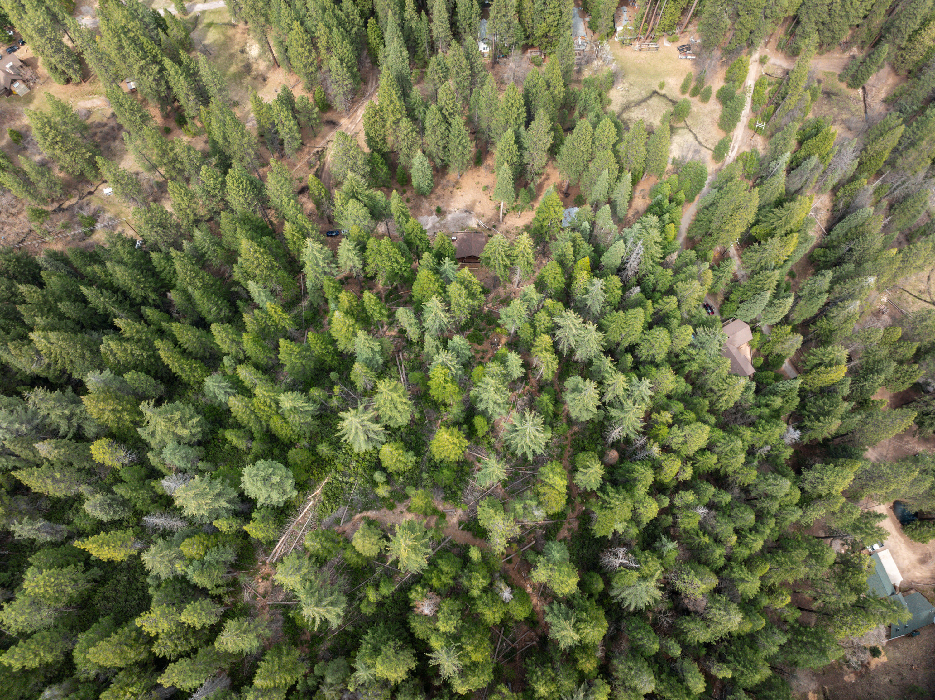 2120 Pack Trail Mount Shasta, CA 96067 - Photo 67 of 92 065_dji_20250412055456_0540_d_914