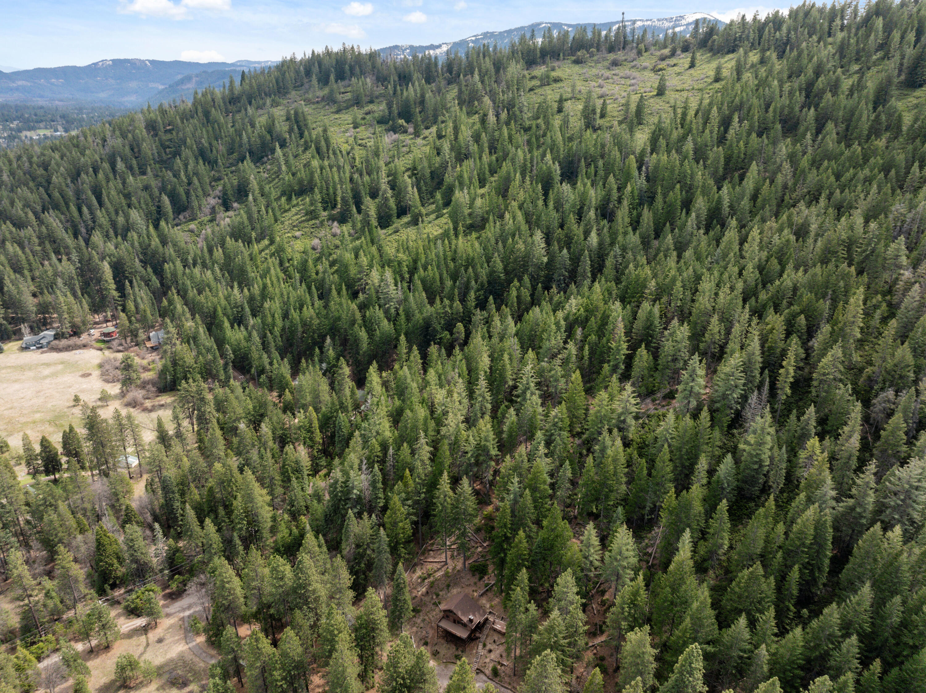 2120 Pack Trail Mount Shasta, CA 96067 - Photo 69 of 92 a view of a forest with a street
