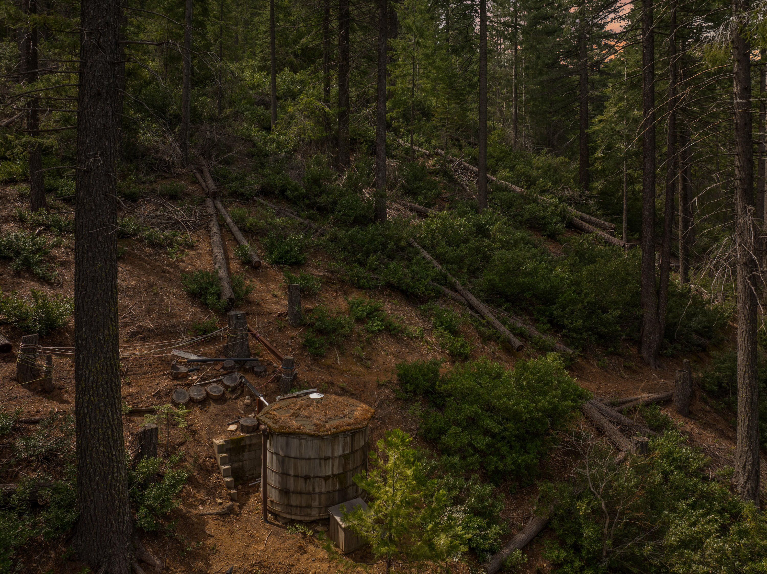 2120 Pack Trail Mount Shasta, CA 96067 - Photo 76 of 92 a view of outdoor space and garden